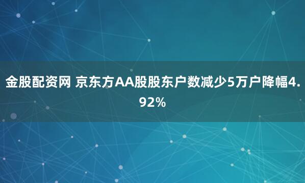 金股配资网 京东方AA股股东户数减少5万户降幅4.92%